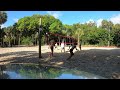 Super Fun Vball Action May 2026 