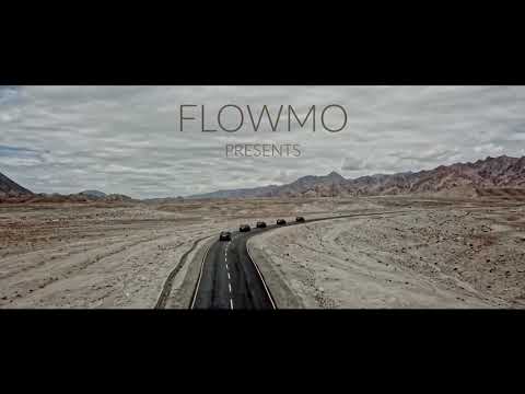 Flowmo Showreel 2020 | ice'd flow