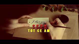 Seek - Tot ce am 💚