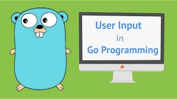 Taking Input From Console || Comma OK Syntax || User Input || Golang