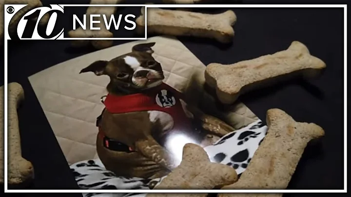 The toxic triad: Animal abuse, domestic violence and child abuse | 10News WTSP