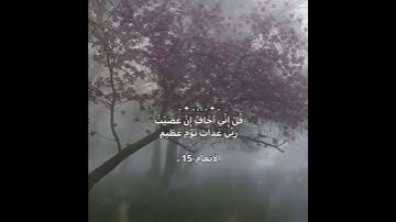 #قرآن #المنشاوي#قران_كريم #quran #muslim #allah#سبحان_الله #سورة_الزخرف #اكسبلور #explore#عبد_الباسط