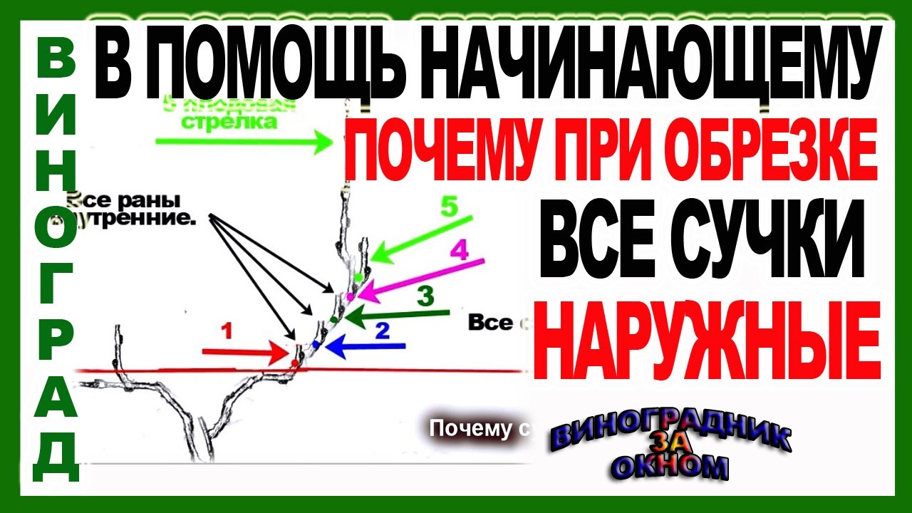 Три правила соблюдая которые вы избавитесь от скандалов и ссор в жизни | Как перестать ссорится