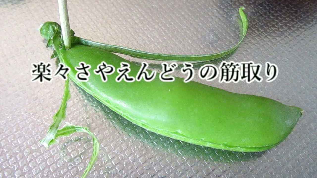 さやえんどう筋取り 爪楊枝で簡単に筋取り Youtube
