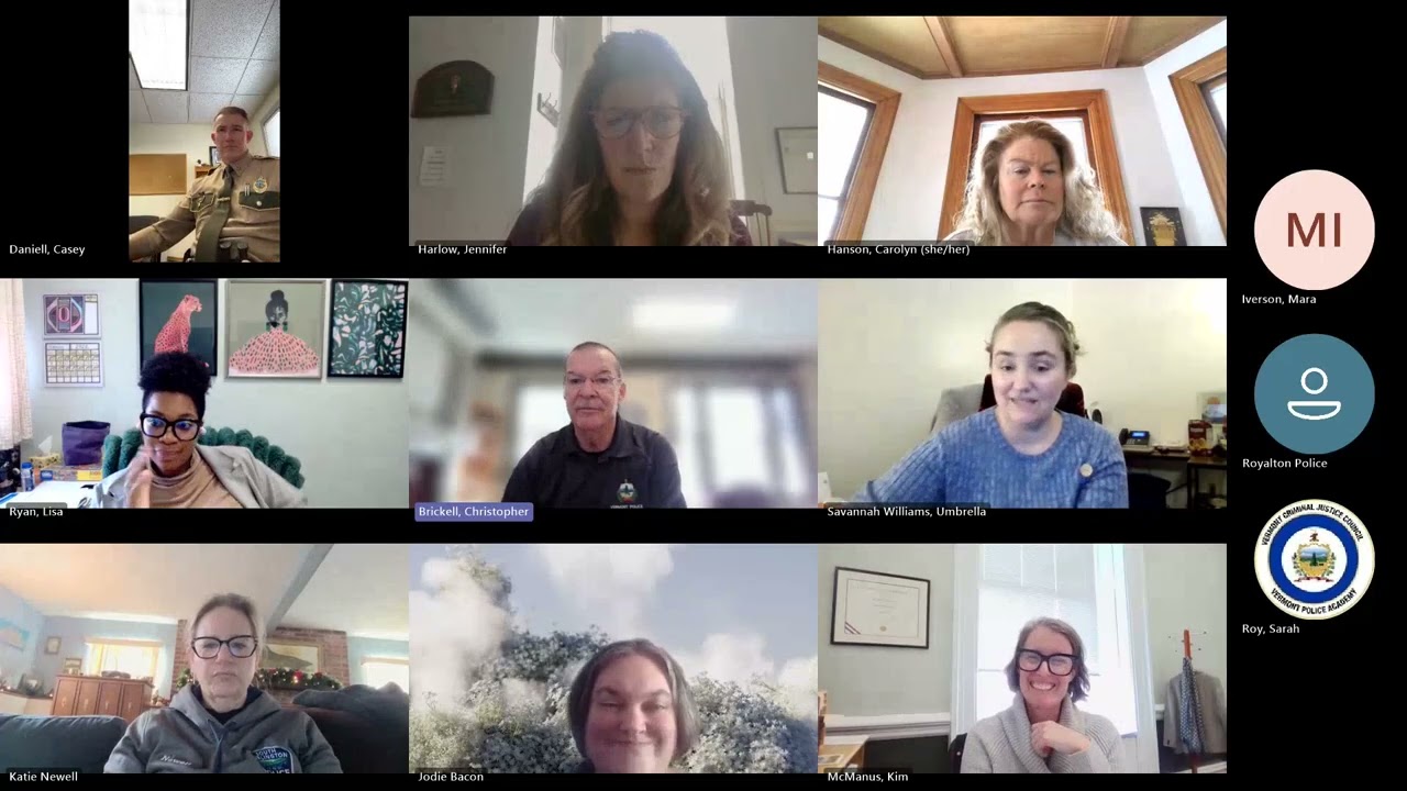 VCJC Domestic Violence Sub Committee 2026-02-12 Meeting Recording