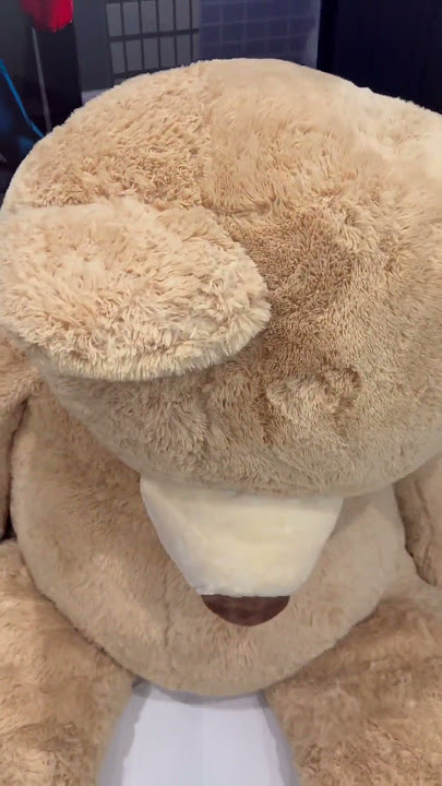 Mom and dad catch giant teddy bear moving by itself then this happens #shorts