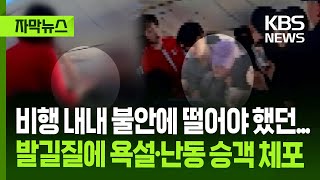 [자막뉴스] 비행 내내 불안에 떨어야 했던...발길질에 욕설·난동 승객 체포 / KBS 2025.06.30.
