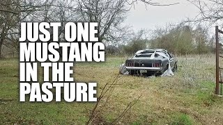 FOUND: 1970 Mustang Mach 1 in Texas Pasture