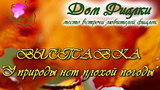 видео: Обзор выставки У природы нет плохой погоды-2024 группы Московская Фиалка в Доме Фиалки 15-25.11.2024 картинка: Обзор выставки У природы нет плохой погоды-2024 группы Московская Фиалка в Доме Фиалки 15-25.11.2024