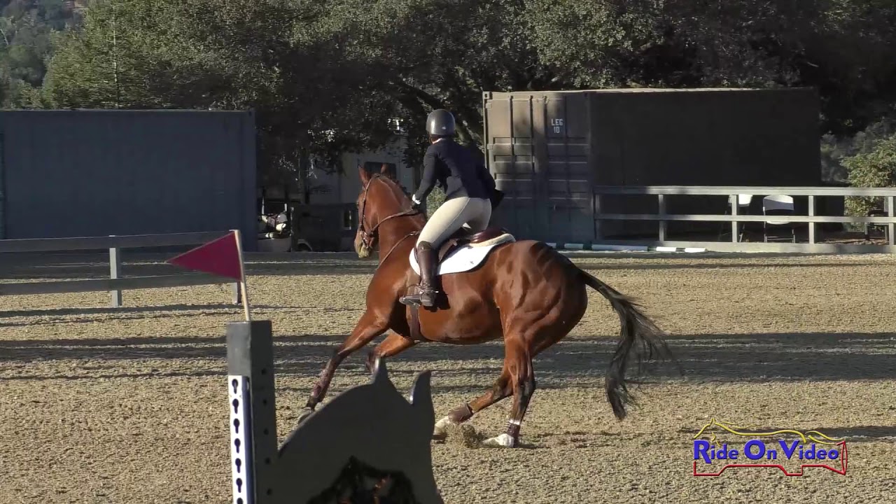 horseshoe bend 085S Stephanie Goodman on Carolina Morning Intermediate Show Jumping Woodside Oct. 2019