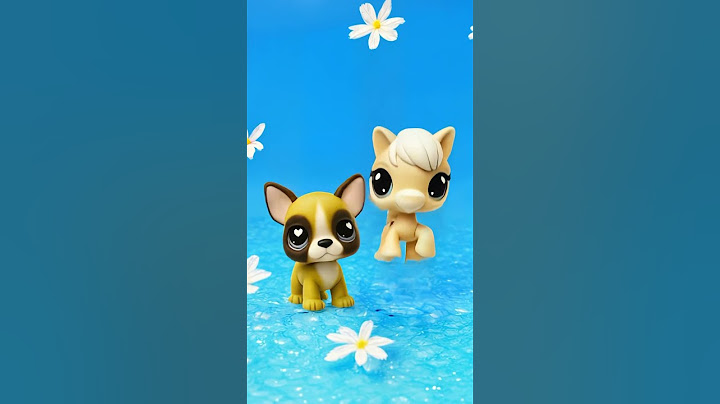 Sooo cute 😍 #littlestpetshop #lps #toysforkids #cute #happy #toys #trending #cuteshorts #fyp