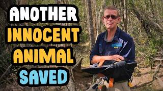 This Snake Didn't Deserve To Die...