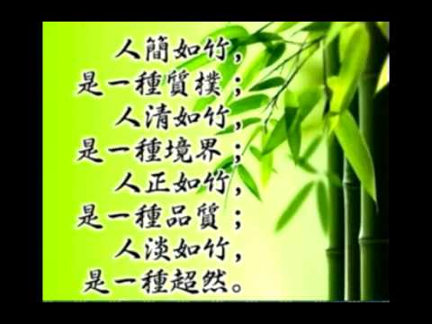 竹海情深-大片的竹林  貼上 精華分享