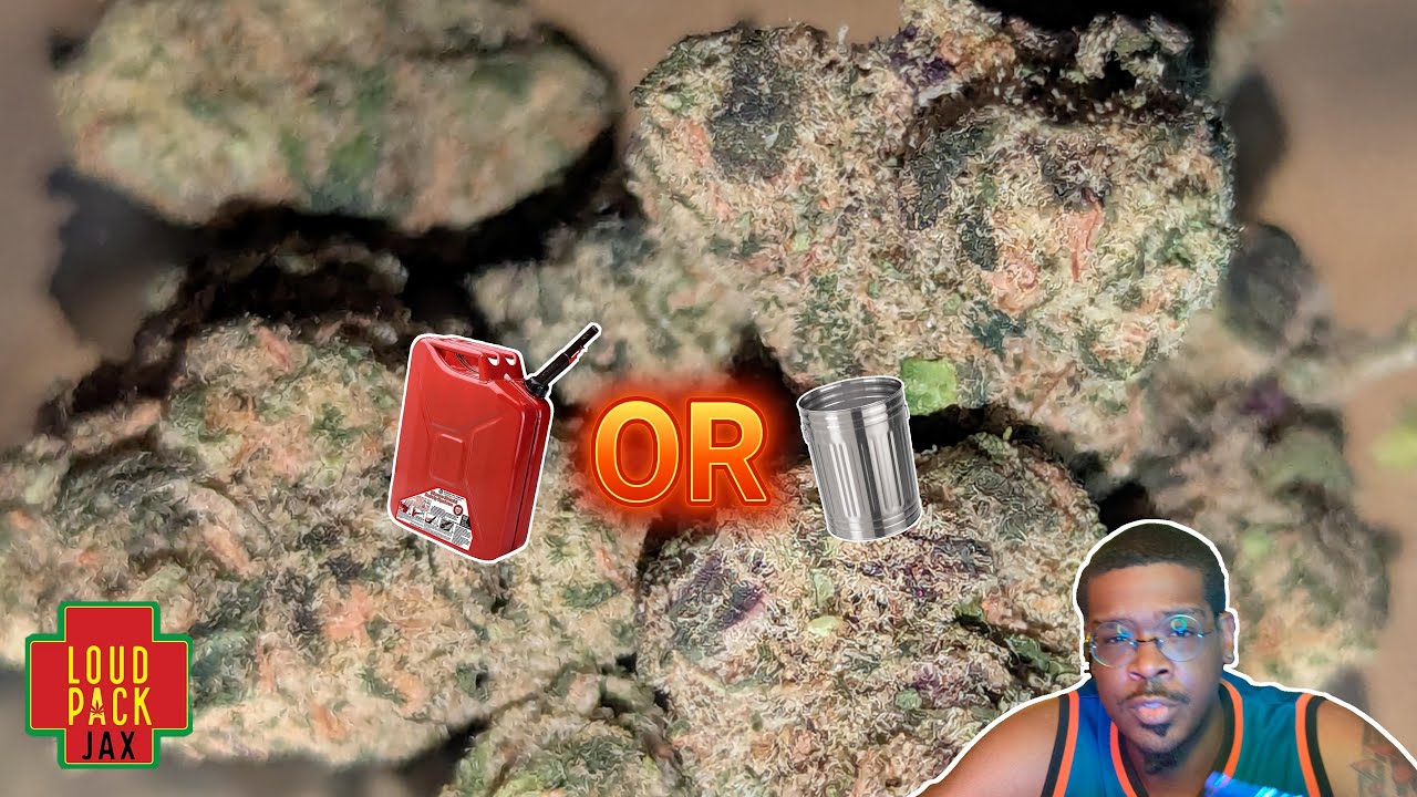 Loud Pack Jax - F1 Durban Review 