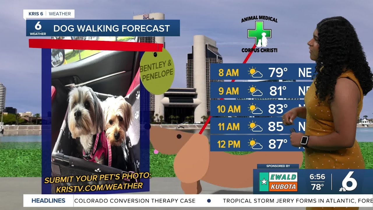 Sunny conditions stick around with some early showers and storms - YouTube