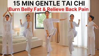 15-Min Gentle Tai Chi for Beginners 🔥 Burn Belly Fat & Relieve Back Pain in 2 Weeks | No Jumping screenshot 3