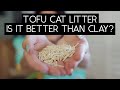 TOFU CAT LITTER REVIEW | SVEN AND ROBBIE
