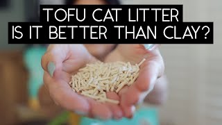 TOFU CAT LITTER REVIEW | SVEN AND ROBBIE