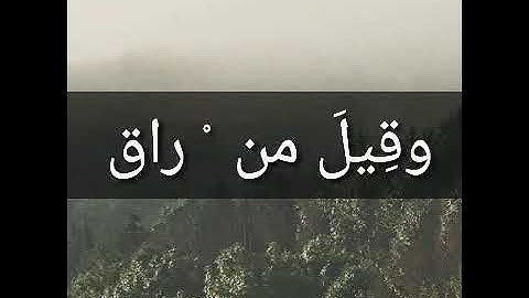 سورة القيامة   بصوت الشاب الصغير عمر احمد YouTube