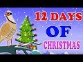 двенадцать дней Рождества | новые рождественские колядки | Xmas Songs | Twelve Days Of Christmas