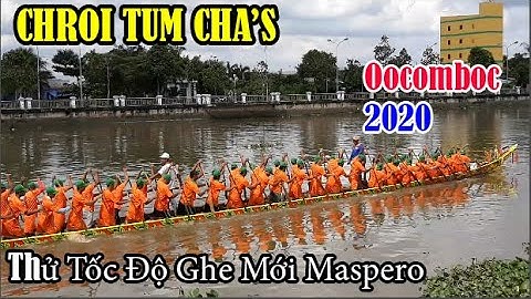 Ghe Mới PHƯỢNG HOÀNG CHROITUMCHA