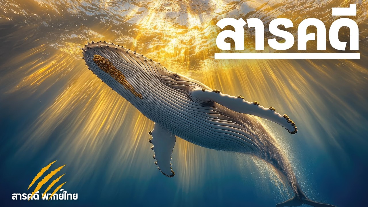 สารคดีสุดยอดธรรมชาติไอร์แลนด์ ดินแดนสิ่งมีชีวิต