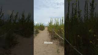 Bibione #beach #spiaggia #italy #bibione