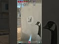 ZORTE 4k AWP vs Liquid at IEM Cologne Major 2026! #cs2
