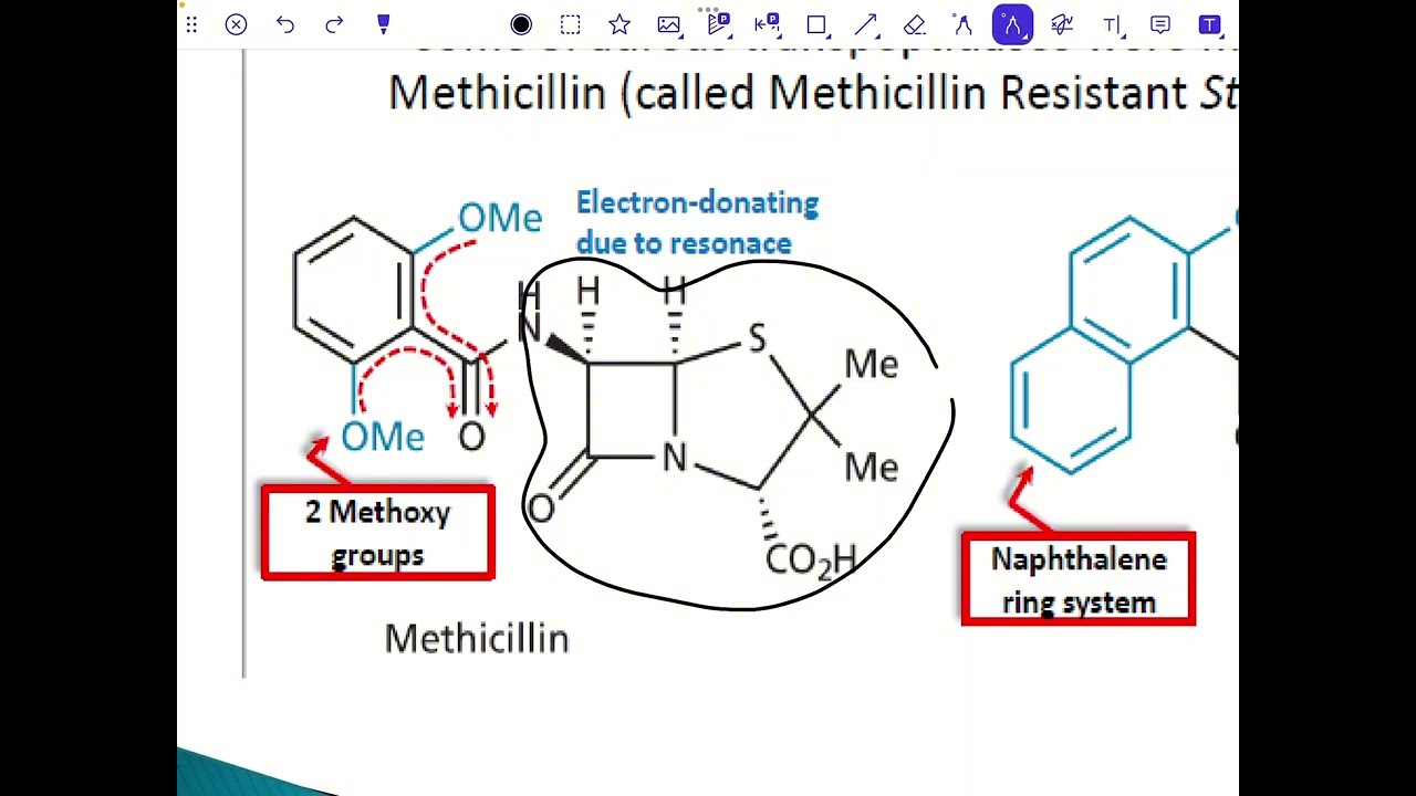 Pharmaceutical chemistry(Acid-catalyzed degradation)عضوية وزاري مرحلة رابعة صيدلة
