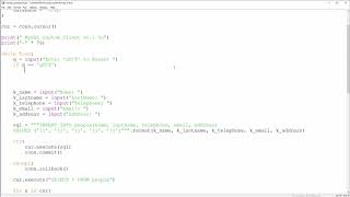 Python & MySQL - 5 - Custom MySQL Client in Python - ( Insert New Values )