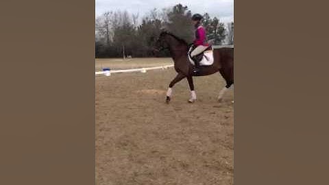 Ringo: video to evaluate gait abnormalities