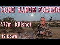 Long range fox shooting  477m killshot  19 down