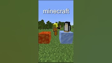 The Secret Of The Strider In Minecraft...