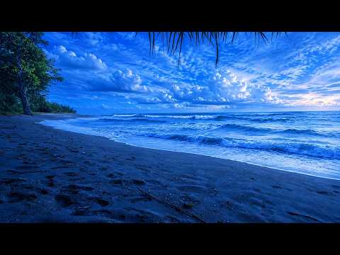 Ocean White Noise 🌊 | Powerful Ocean Sounds for Deep Sleep, Focus & Total Relaxation