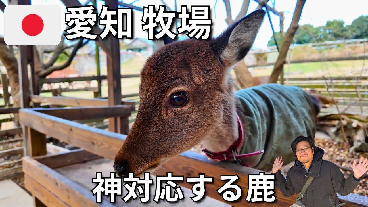 【愛知 日帰り旅】入場無料！？名古屋からすぐ行ける動物ふれあい施設が最高すぎた｜愛知牧場