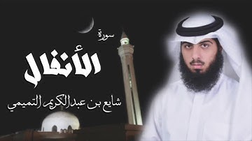 سورة الأنفال - شايع التميمي