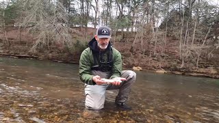 Trout Fishing | Elk River | Tims Ford Dam 11/27/22