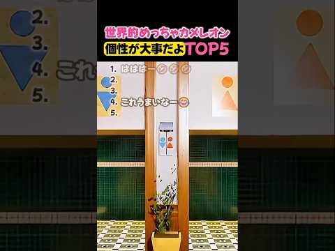 めっちゃカメレオン個性が大事だよTOP5 #めっちゃカメレオン #mecchachameleon #おもしろ #funny