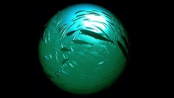 SIGGRAPH Asia 2021: Foids: Bio-Inspired Fish Simulation for Generating Synthetic Datasets