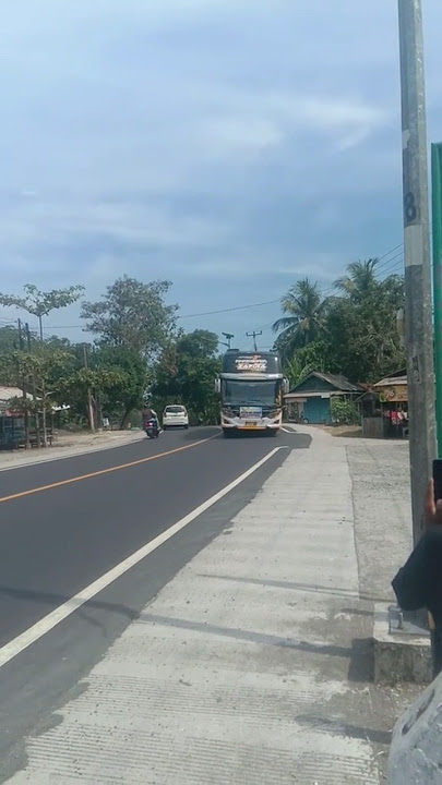 Basuri V4 Bus Zafira Azzahra Holiday  #basuriv4 #subscribe #shorts