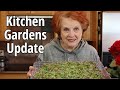 MicroMoment: Kitchen Gardens Update