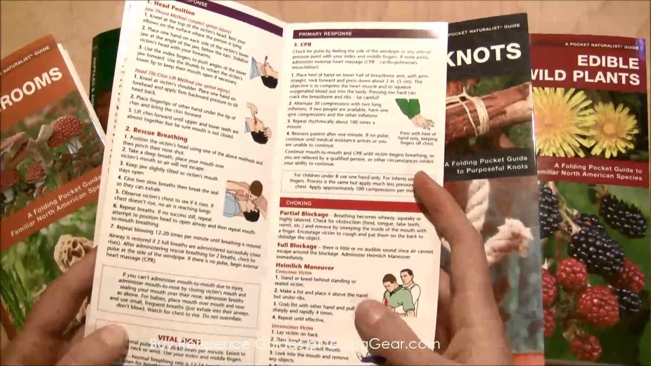 Pocket Naturalist Reference Guides Review - YouTube