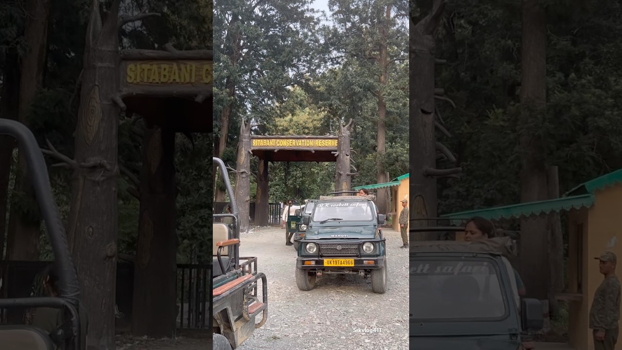 Sitabani forest | jim corbett | ram nagar 