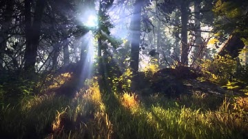 The Witcher 2: Assassins of Kings Enhanced Edition - Teaser