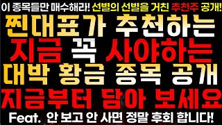 [찐대표 대박 추천주] 지금 꼭 사야하는 대박 황금 종목 공개!