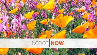 NCDOT Now October 22, 2012