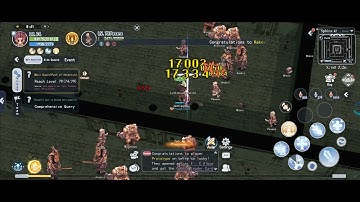 The Ragnarok BS to Crusader job change