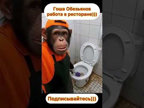 Гоша Обезьянов