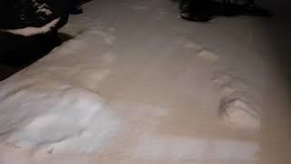 Winter Storm - February 10/11, 2021; Frederick, Maryland