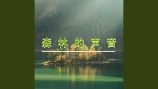 森林里纯音乐